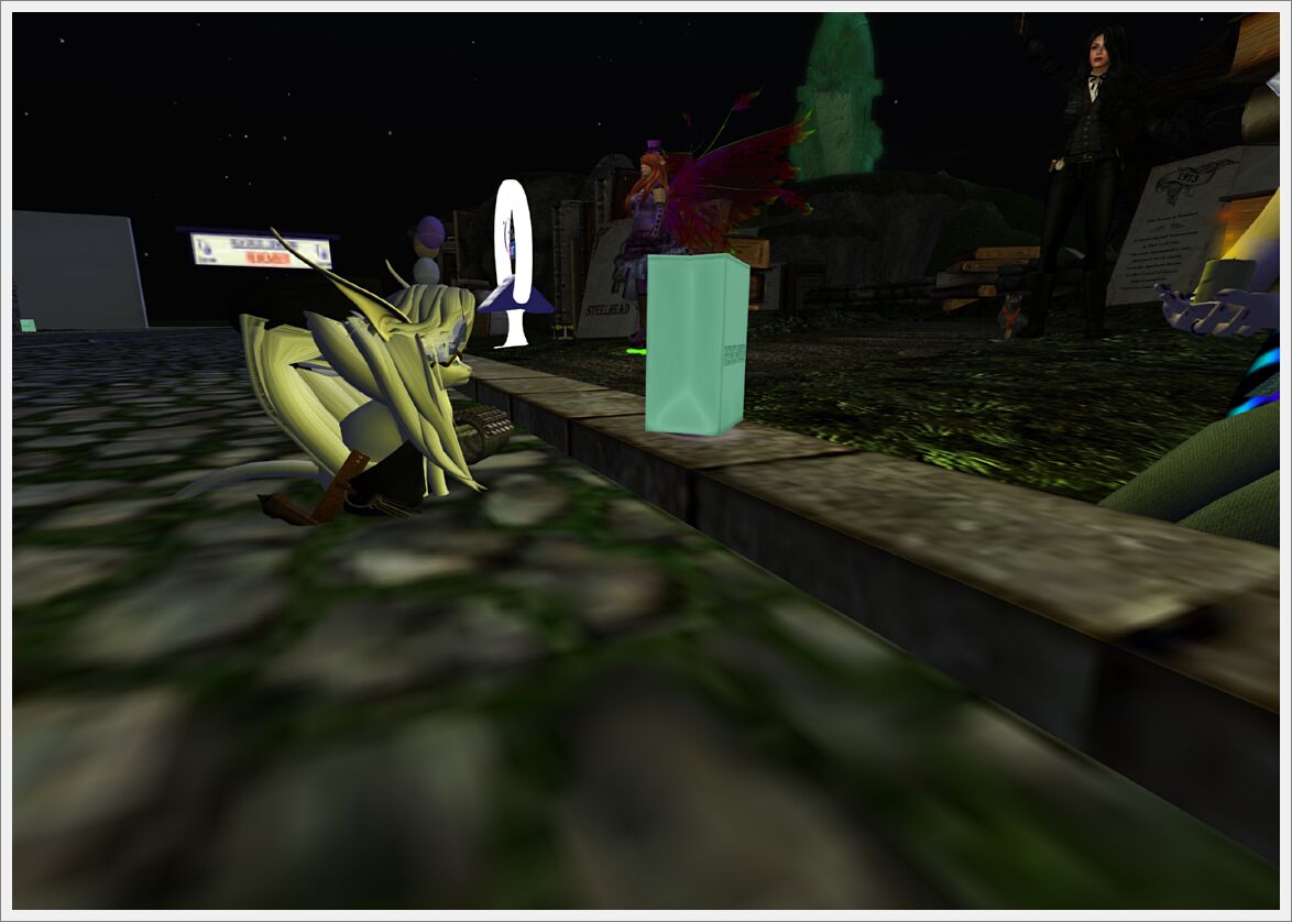 Relay For Life 2013  (21)